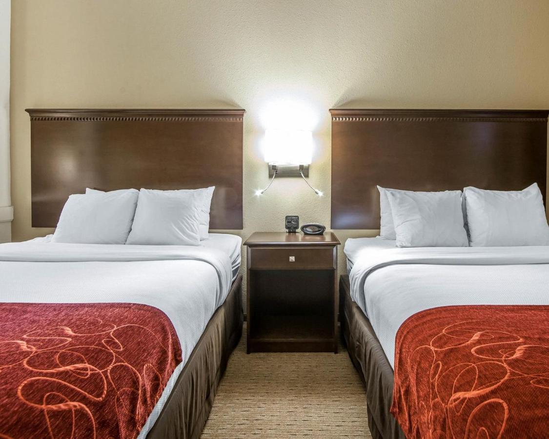 Queen Suite - Non-Smoking at Comfort Suites Marietta - Parkersburg