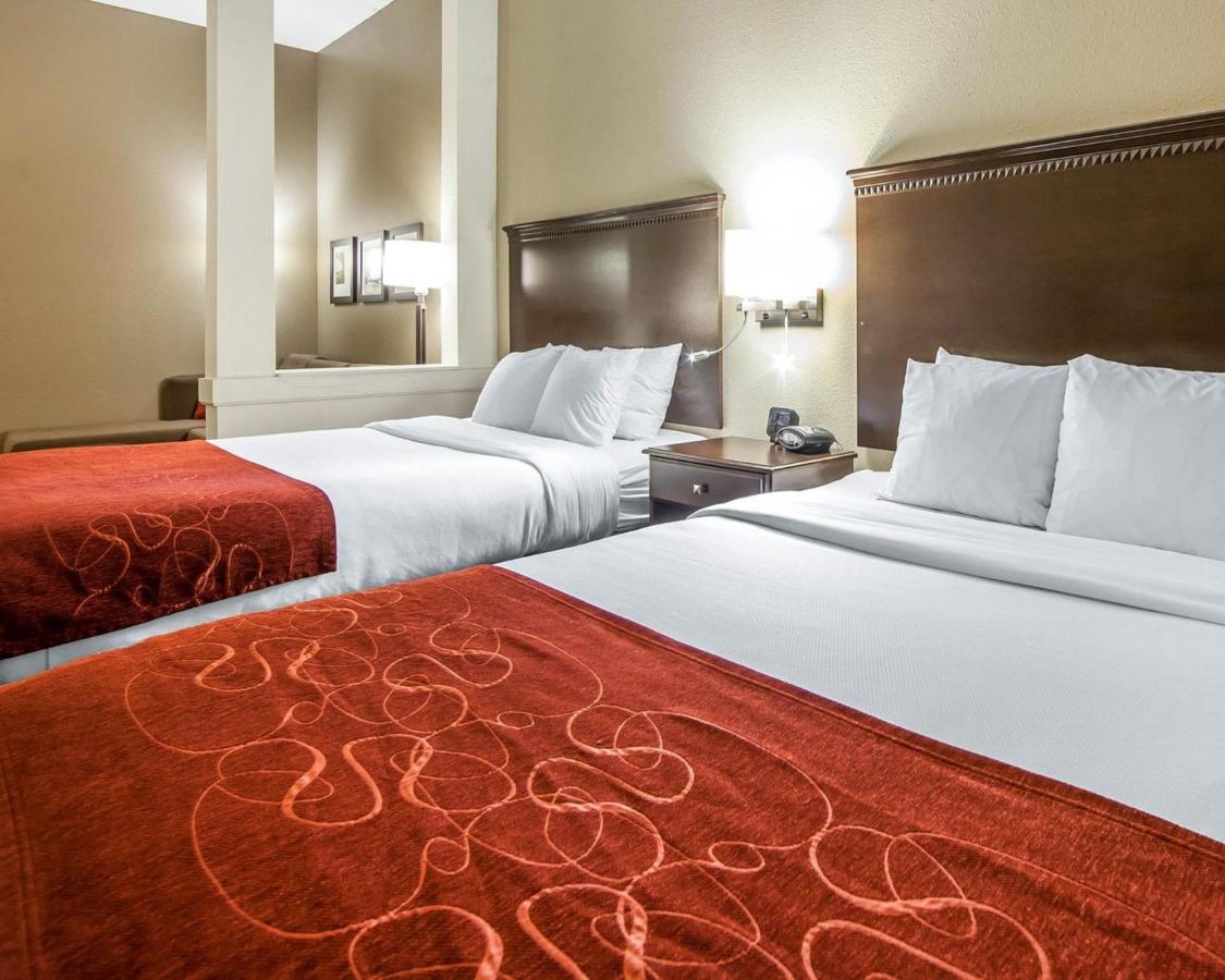 Queen Suite - Non-Smoking at Comfort Suites Marietta - Parkersburg