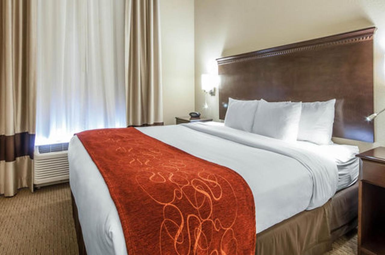 Executive King Suite - Non-Smoking at Comfort Suites Marietta - Parkersburg