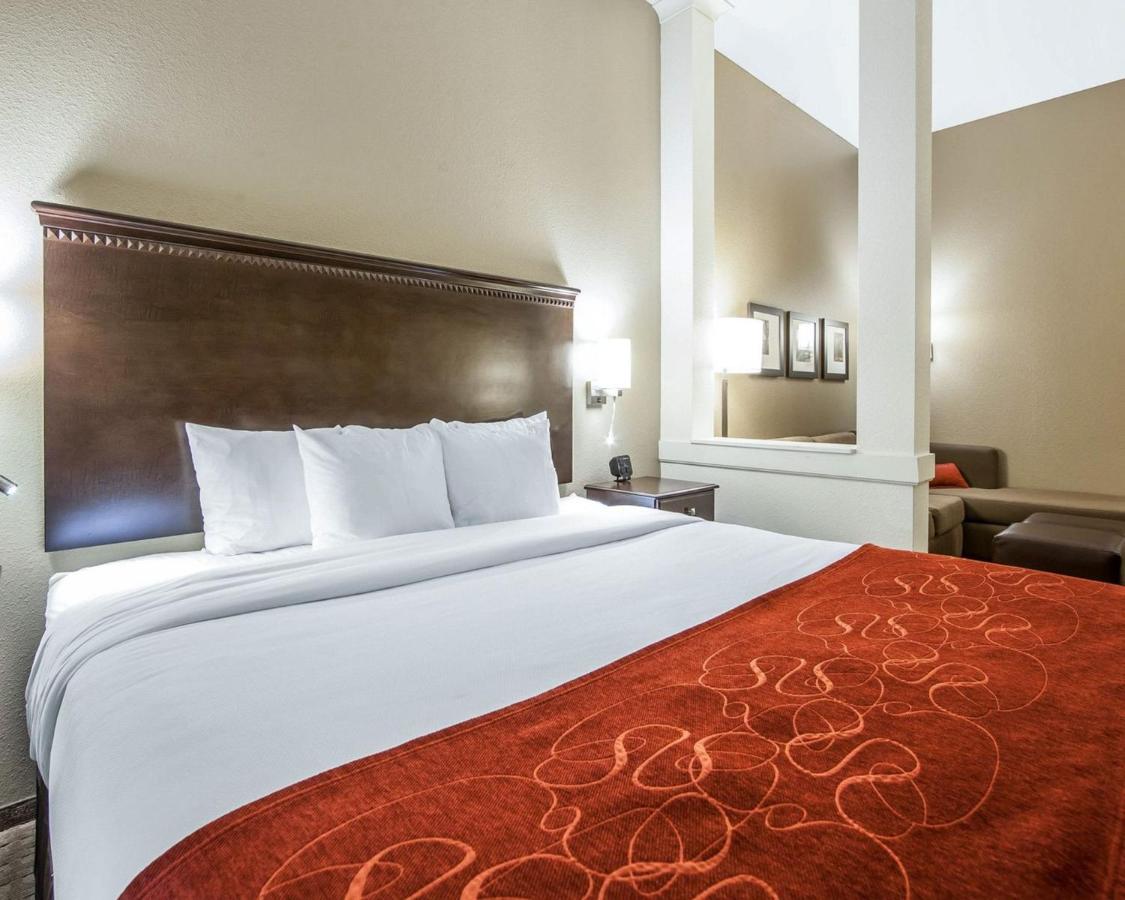 Executive King Suite - Non-Smoking at Comfort Suites Marietta - Parkersburg