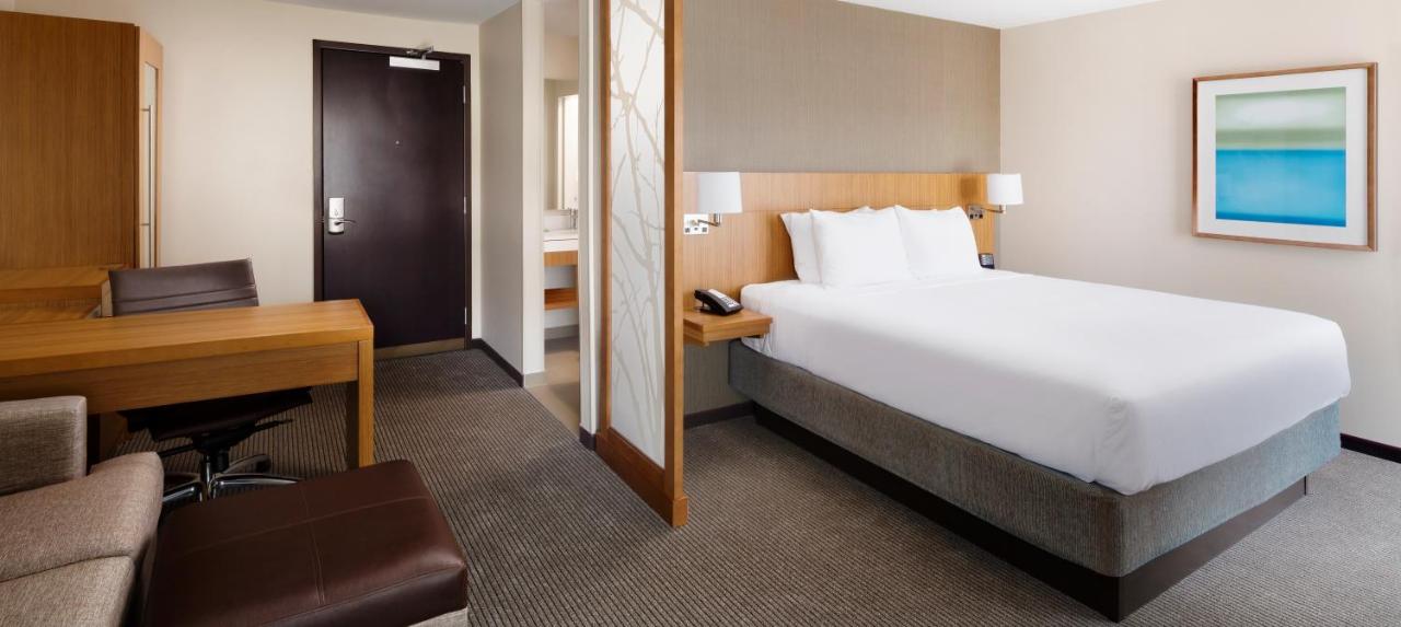 High Floor King, Sofabed at Hyatt Place Lubbock