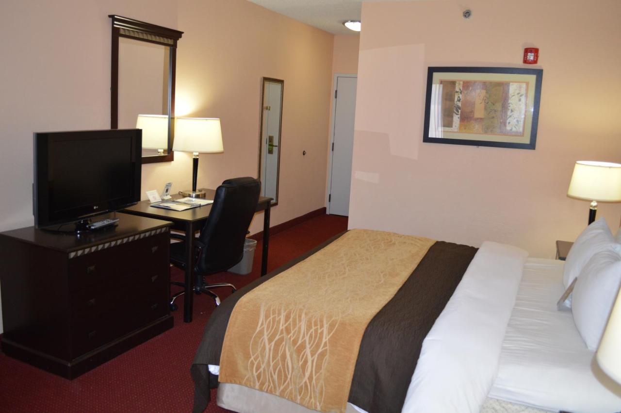 King Room - Non-Smoking at Comfort Inn & Suites Lincoln Talladega I-20