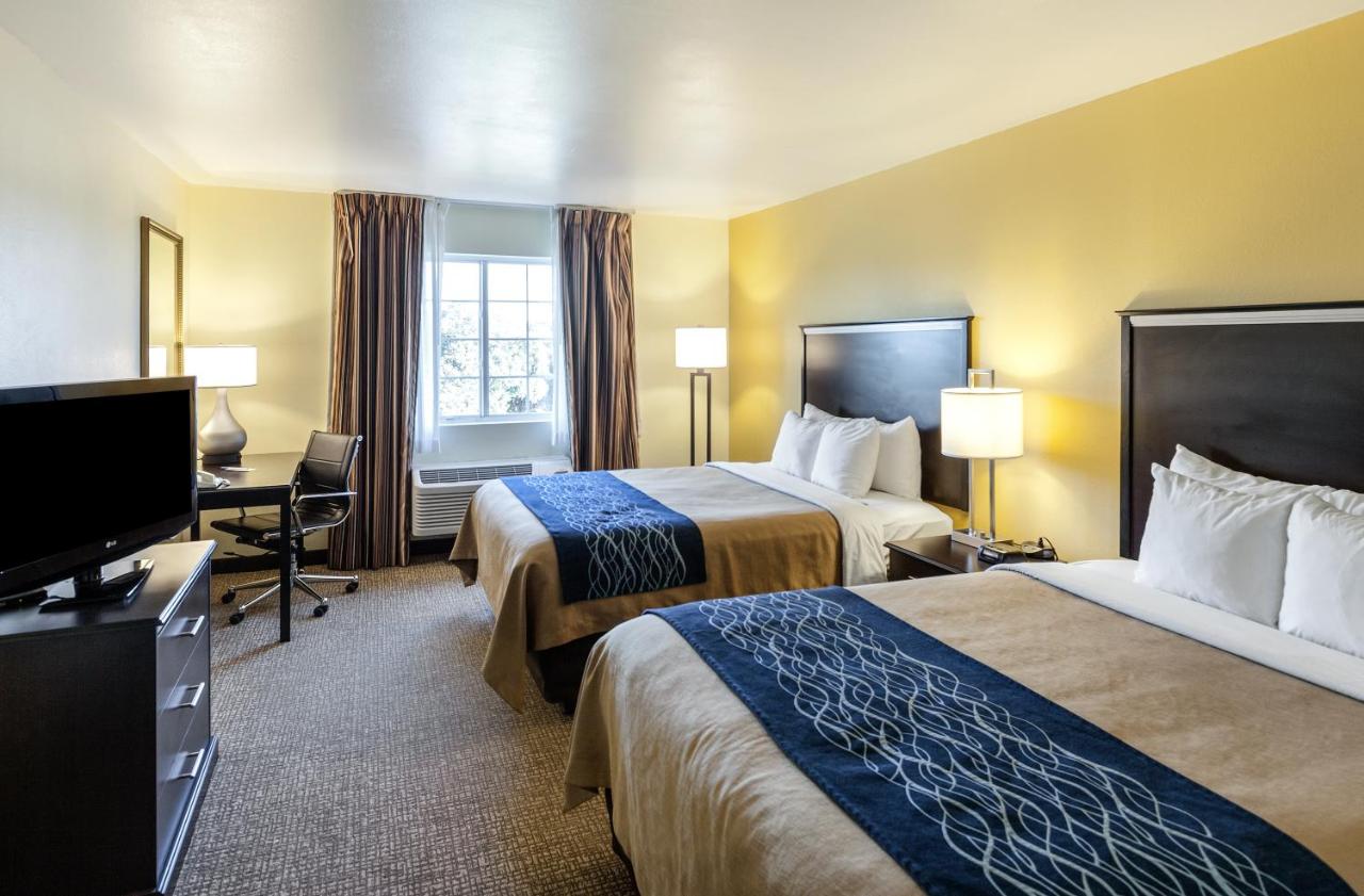 Queen Room with Two Queen Beds - Disability Access at Comfort Inn & Suites Texas Hill Country