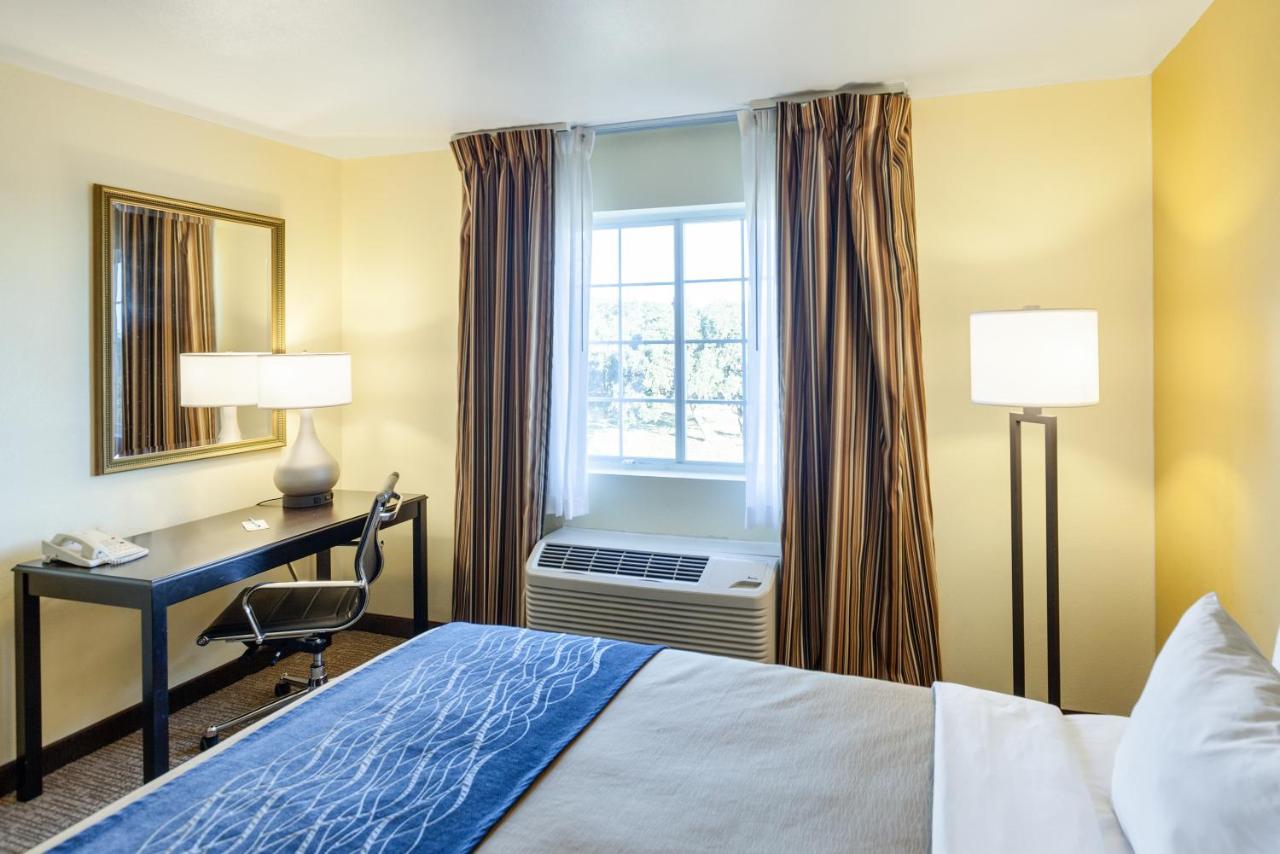 King Room - Disability Access at Comfort Inn & Suites Texas Hill Country