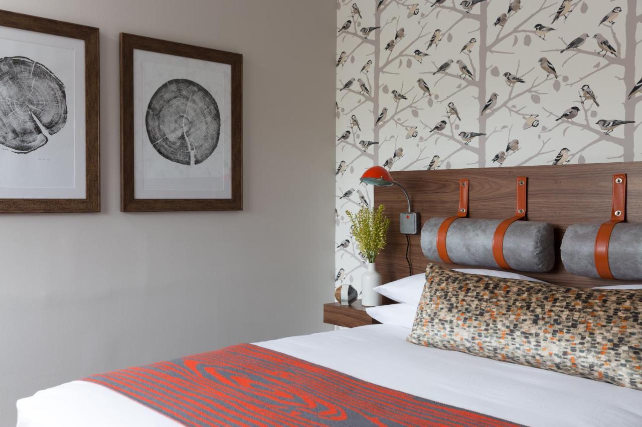 Queen Room at Field Guide Lodge