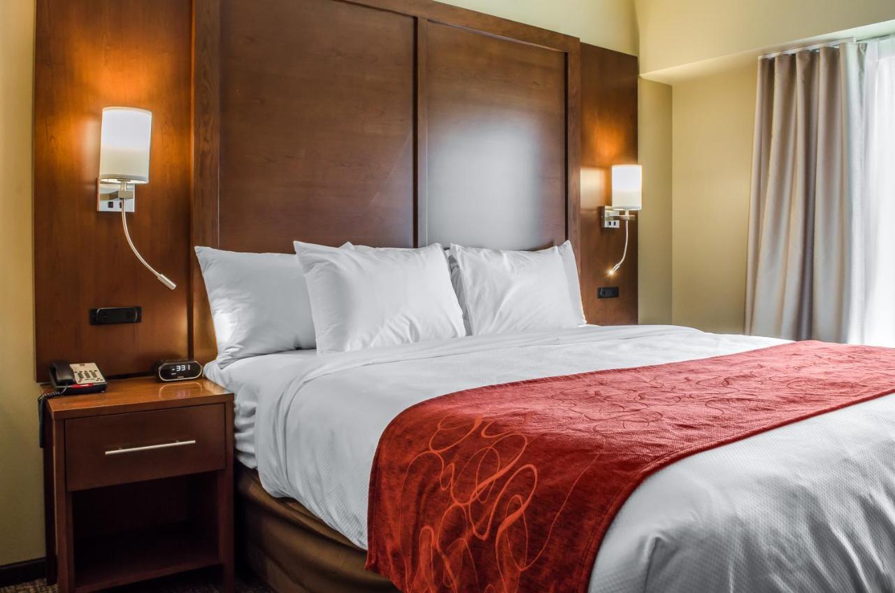King Suite with Roll-in-Shower - Accessible/Non-Smoking at Comfort Suites Manheim - Lancaster