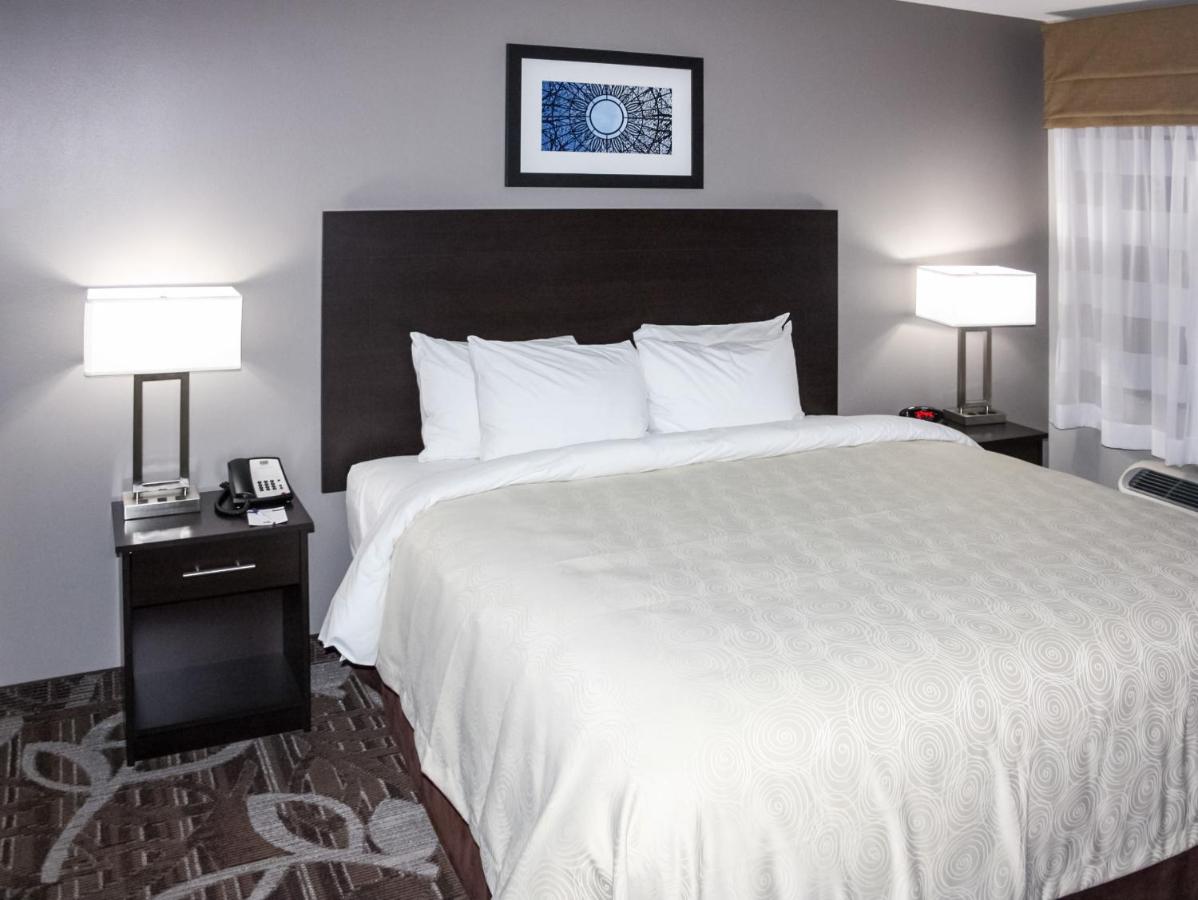 King Suite with Sofa Bed at MainStay Suites Lincoln University Area