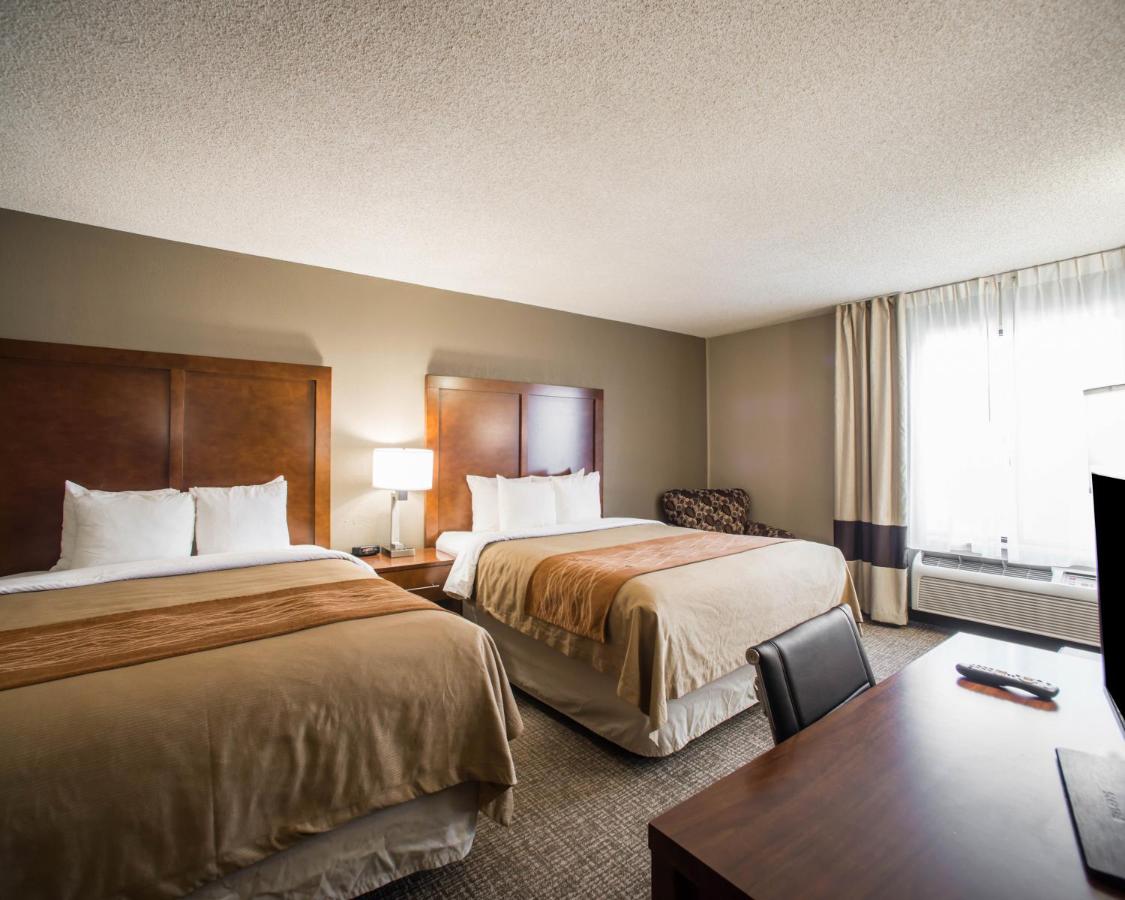 Room #24654309 at Comfort Inn & Suites St. Louis - Hazelwood