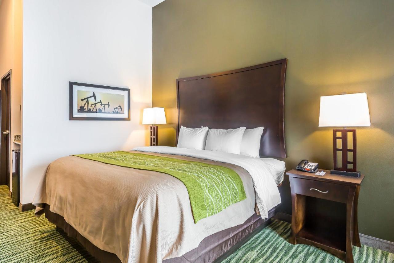 King Suite with Sofa Bed at Comfort Inn & Suites Moore - Oklahoma City