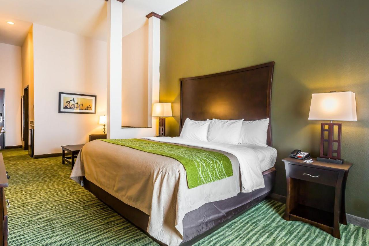 King Suite with Sofa Bed at Comfort Inn & Suites Moore - Oklahoma City