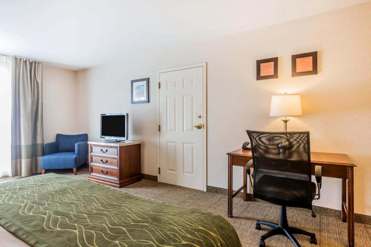 King Room with Sofa Bed - Non-Smoking at Comfort Inn & Suites South Burlington near University