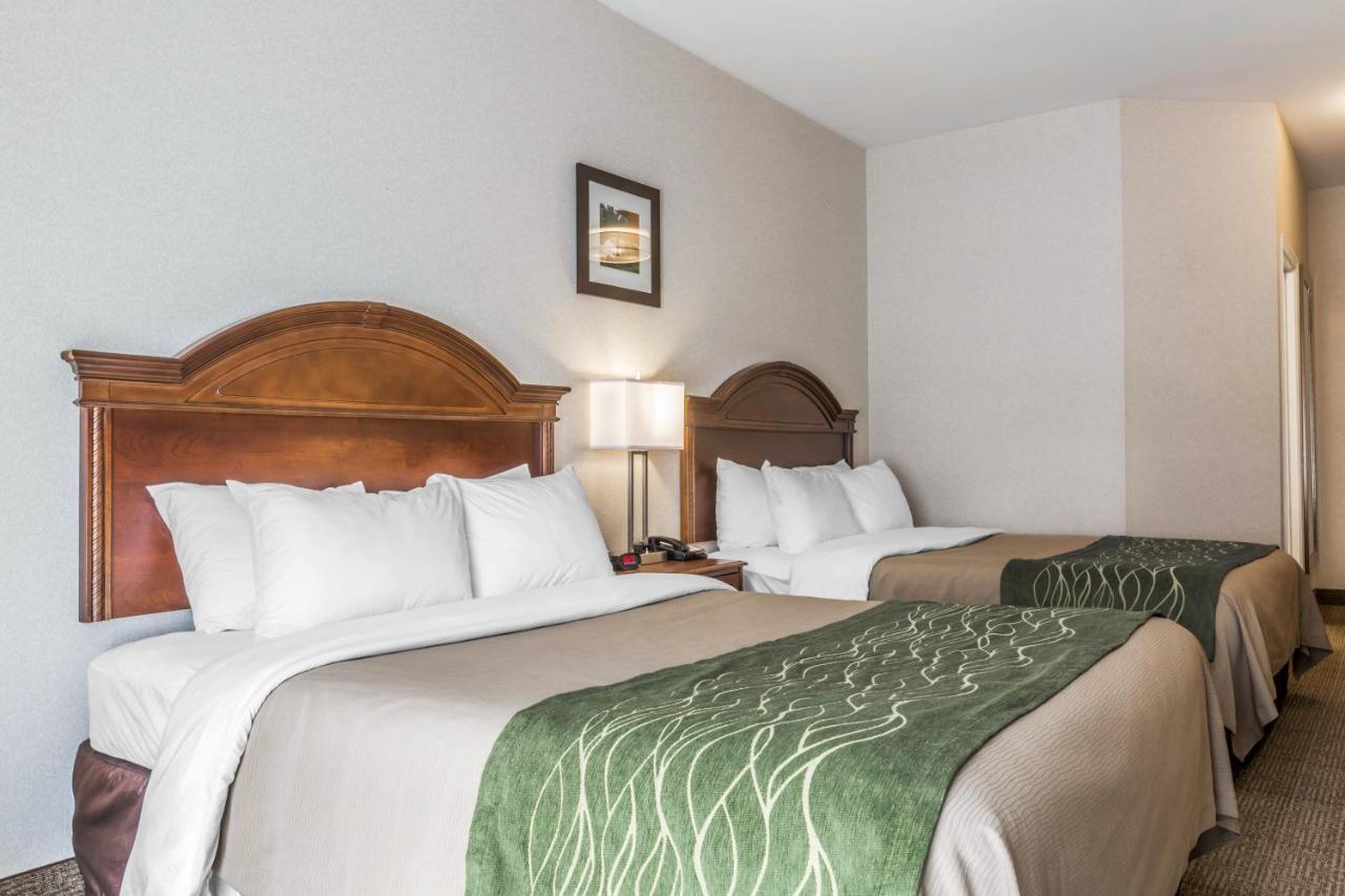 Standard Queen Room with Two Queen Beds - Non-Smoking at Comfort Inn & Suites South Burlington near University