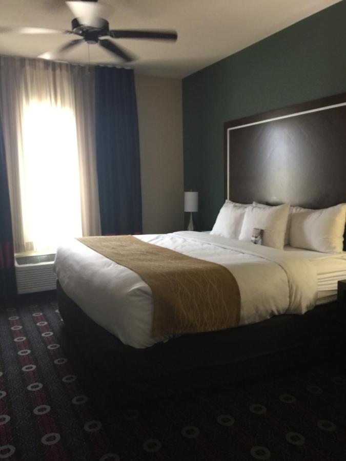 King Room - Non-Smoking at Comfort Inn & Suites San Marcos near Outlet Mall