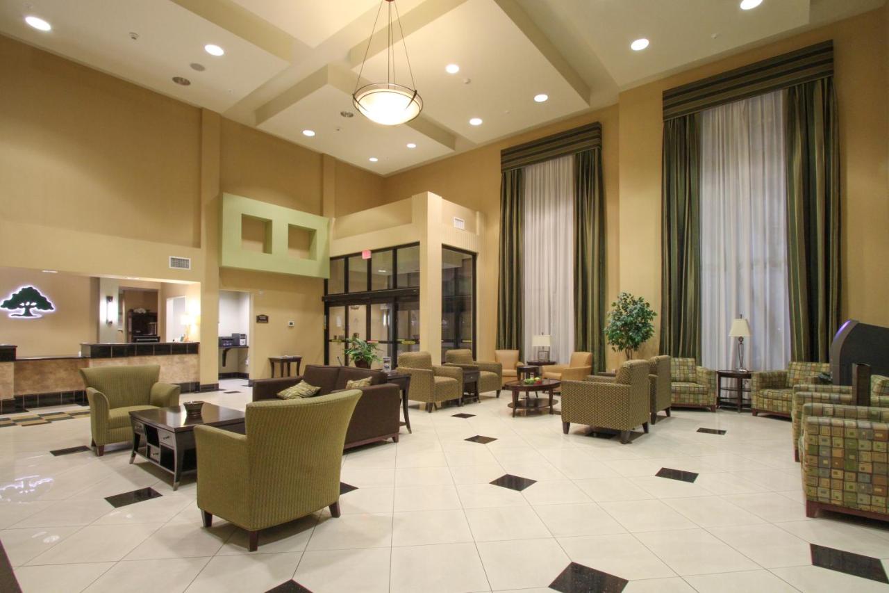 Queen Room with Two Queen Beds at GreenTree Inn & Suites Florence