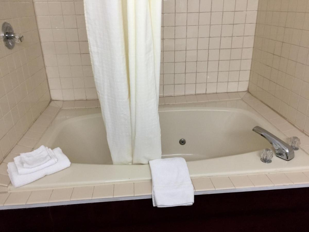 Executive King Suite at Laketree Inn And Suites Marion