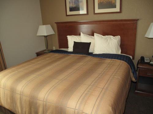 Standard Double Studio at Candlewood Suites Elgin, an IHG Hotel