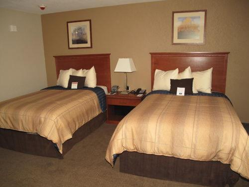 Standard Double Studio at Candlewood Suites Elgin, an IHG Hotel