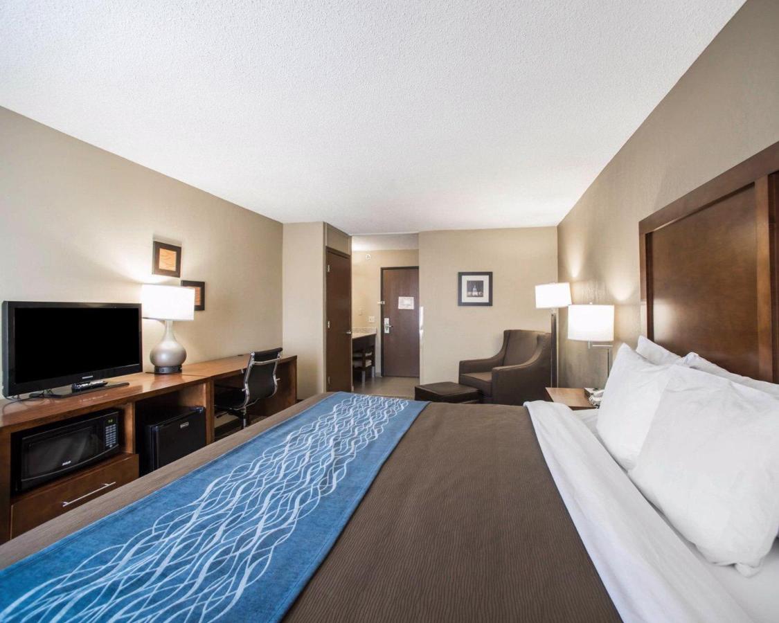 Room #24654308 at Comfort Inn & Suites St. Louis - Hazelwood