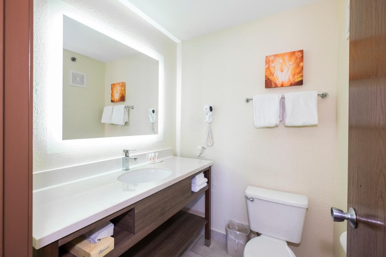 King Room with Jacuzzi Tub at Baymont by Wyndham Chicago/Alsip