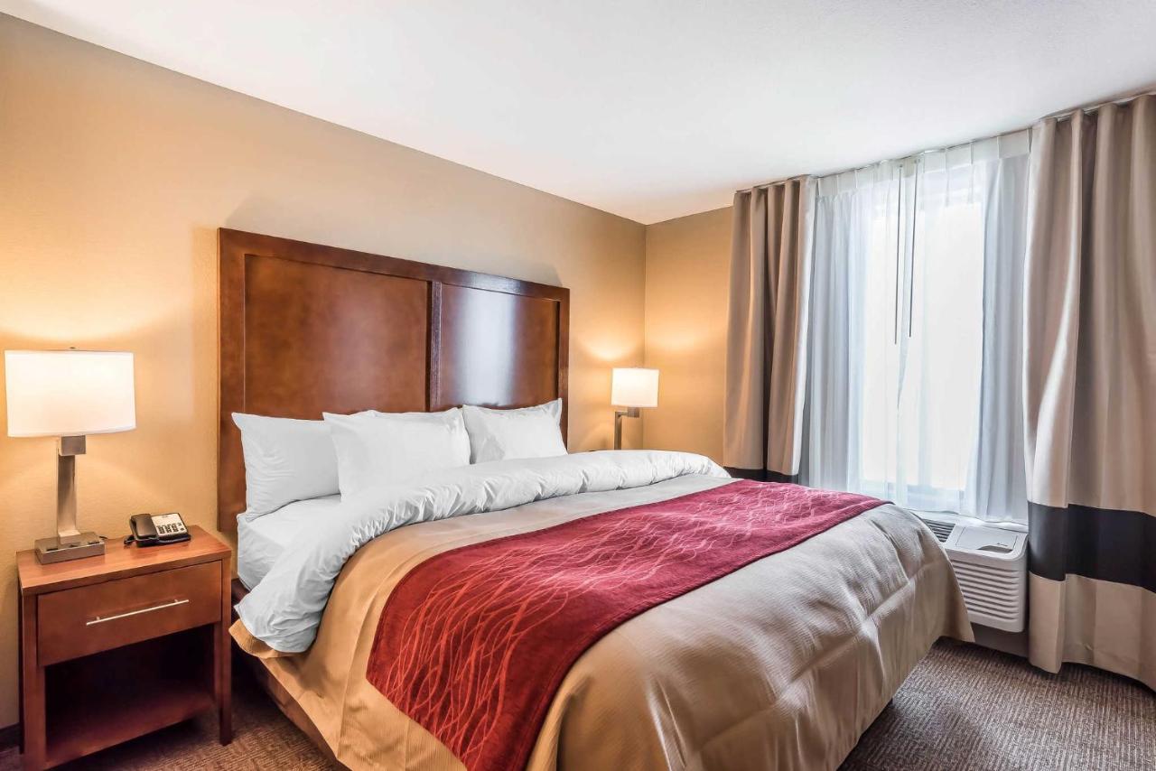 Standard King Room - Non-Smoking at Comfort Inn & Suites Sidney I-80