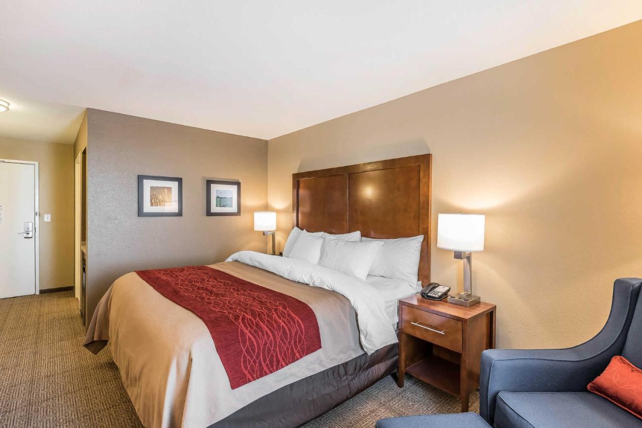 Standard King Room - Non-Smoking at Comfort Inn & Suites Sidney I-80
