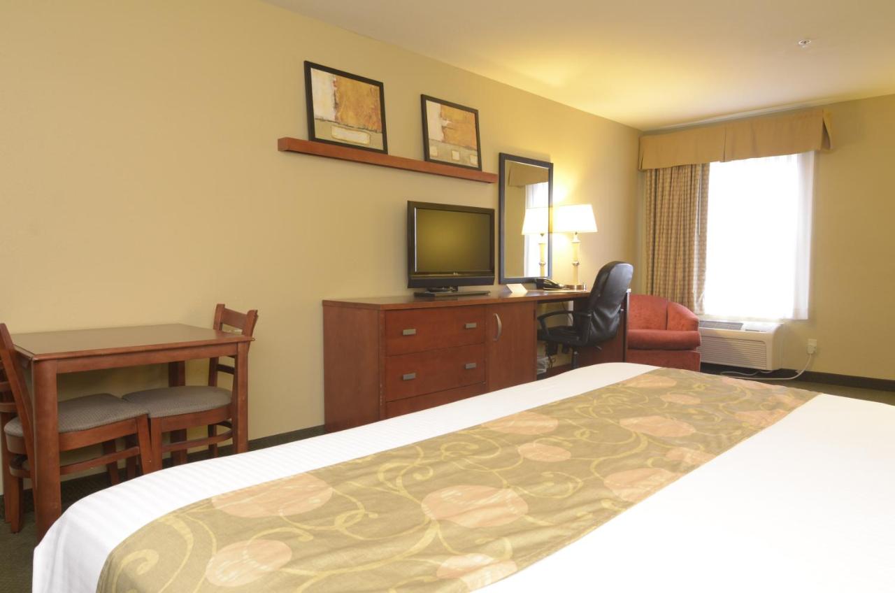 One-Bedroom King Suite with Sofa Bed - Non-Smoking at Big Splash Adventure Indoor Water Park & Resort