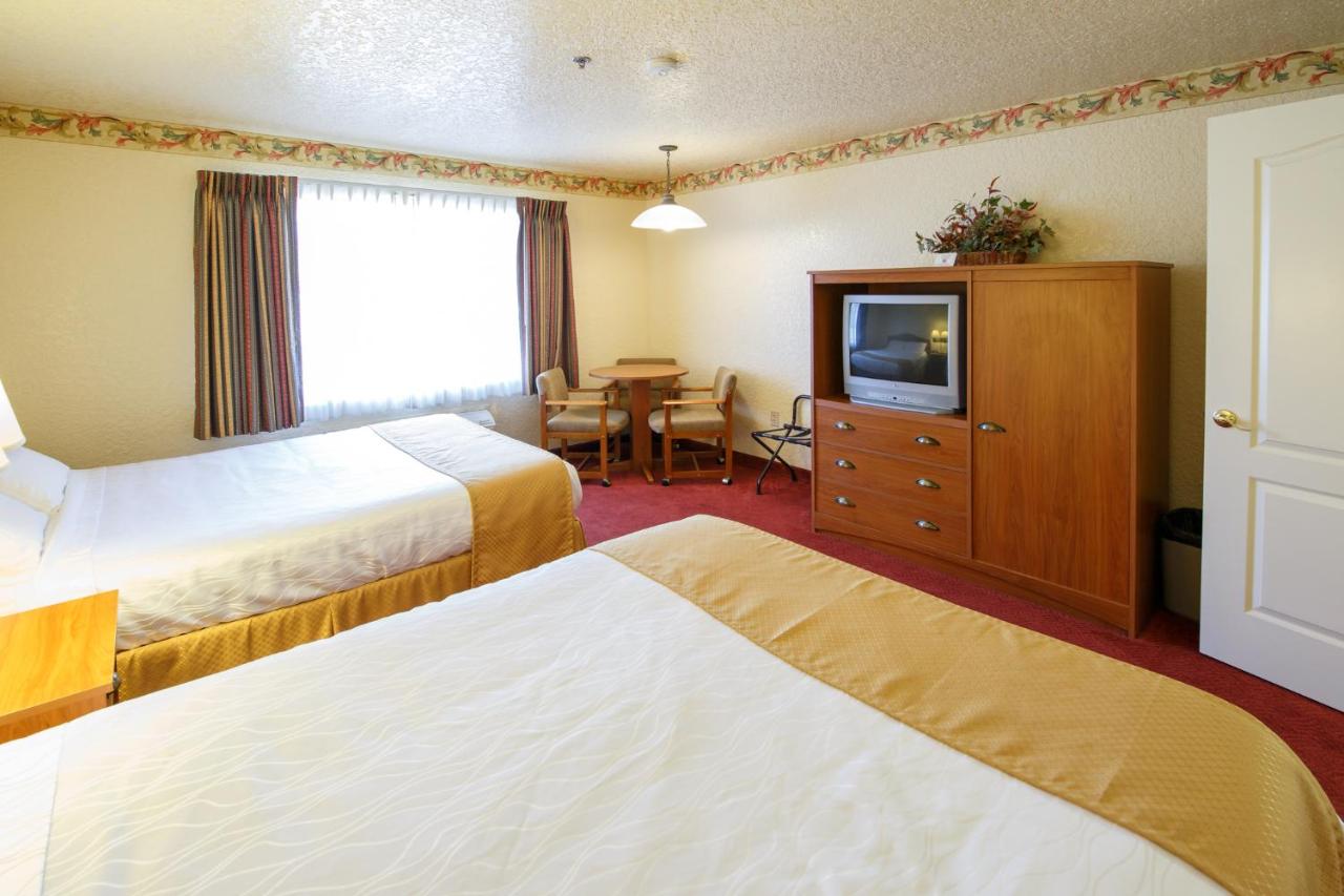 Queen Suite at Murphys Suites