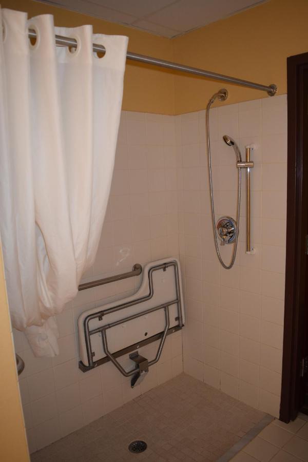Queen Suite - Disability Access - Non-Smoking at Microtel Inn & Suites by Wyndham Rock Hill/Charlotte Area