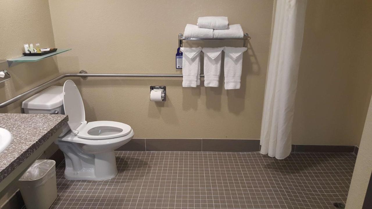 King Room with Roll In Shower-Disabilty Access at Best Western Plus Airport Inn & Suites