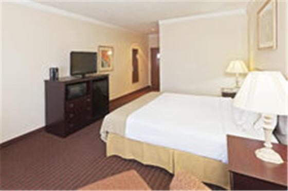 King Room at Holiday Inn Express & Suites Plainview by IHG