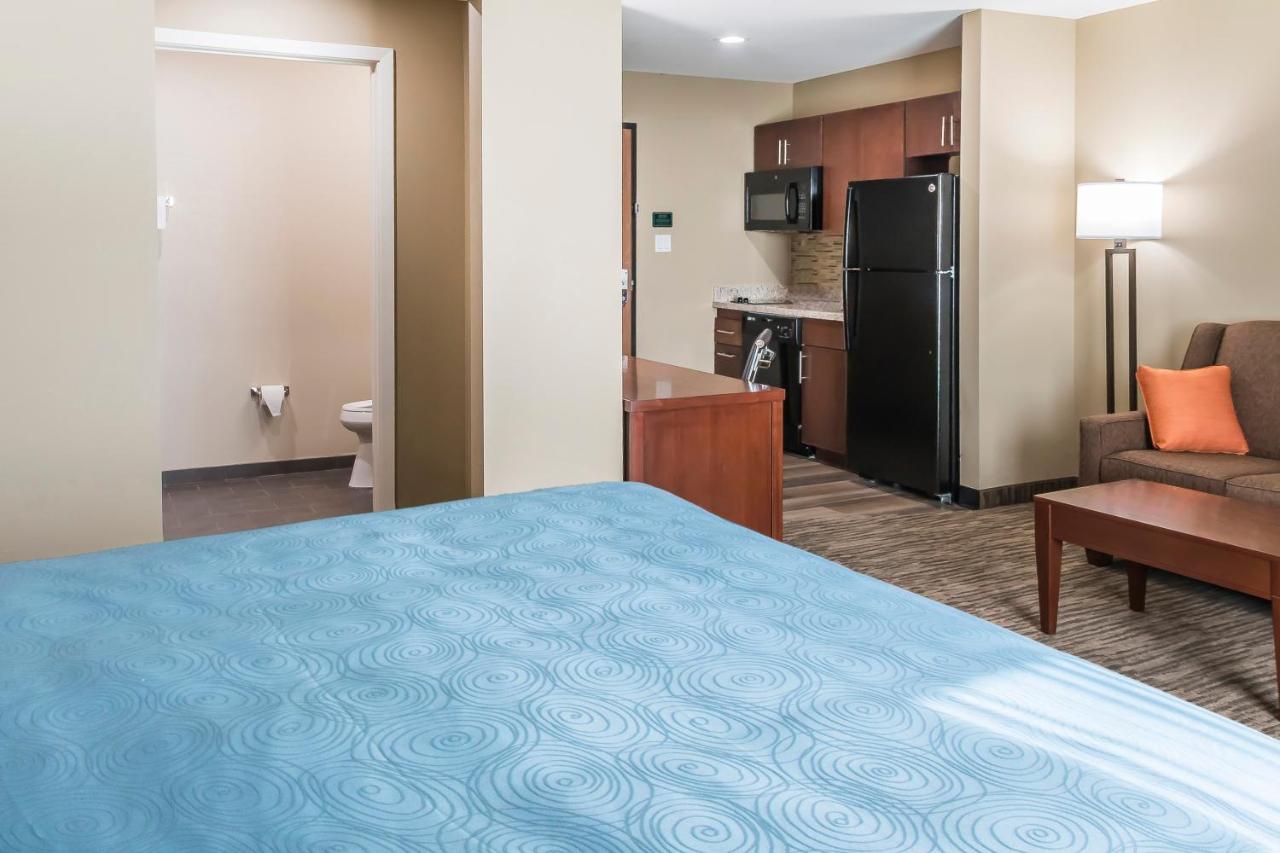 King Suite with Sofa Bed at MainStay Suites Edinburg South