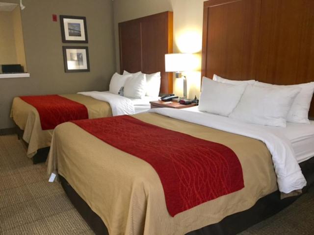 Queen Room with Two Queen Beds at Comfort Inn & Suites Airport - American Way