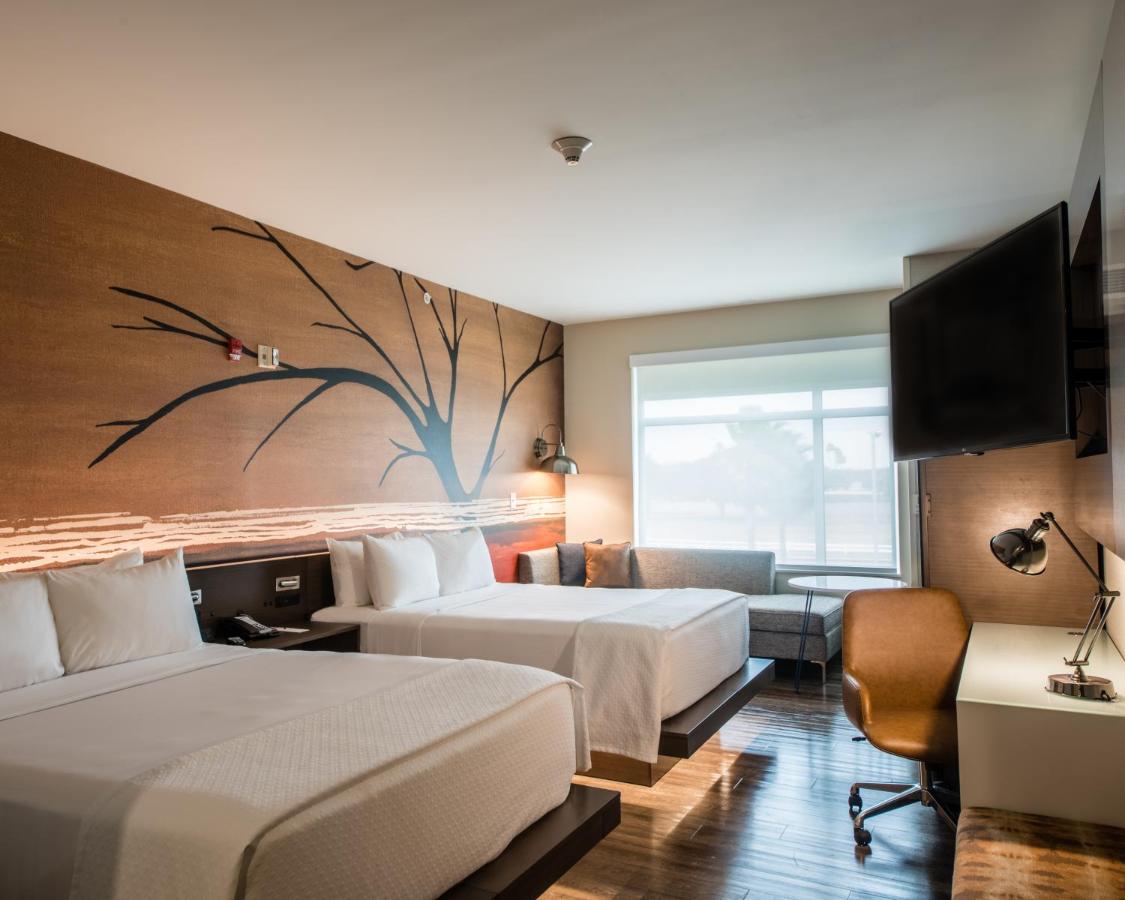 Queen Room with Two Queen Beds - Non-Smoking at Cambria Hotel McAllen Convention Center
