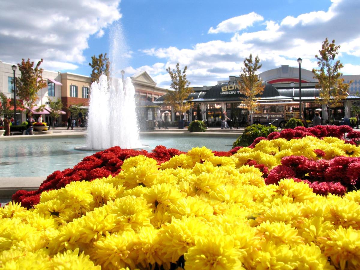  | MainStay Suites Columbus Worthington