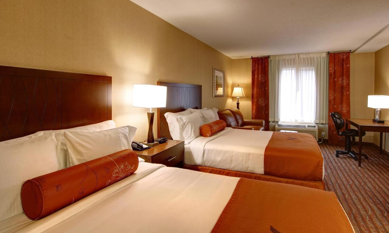 Deluxe Queen Suite at Phoenix Inn Suites - Albany